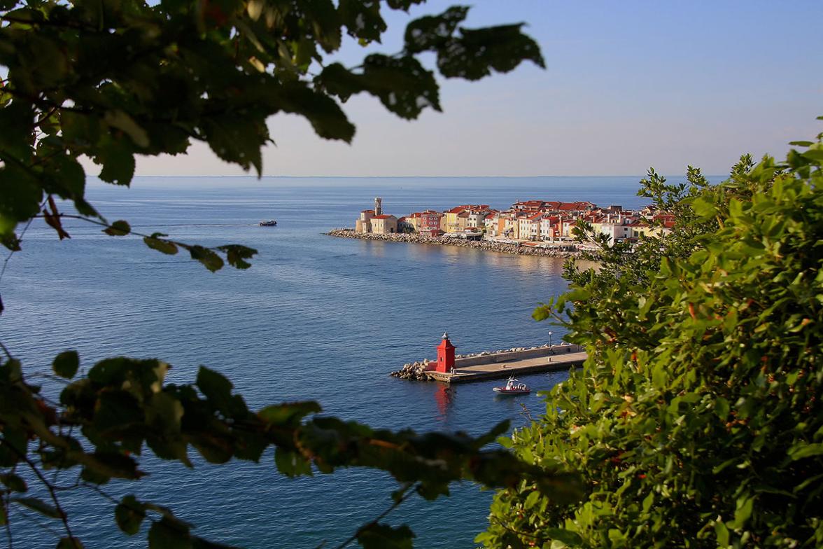 Piran (foto: Barbara Kožar)