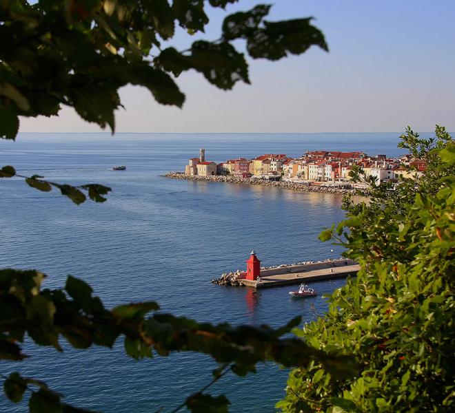 Piran (foto: Barbara Kožar)